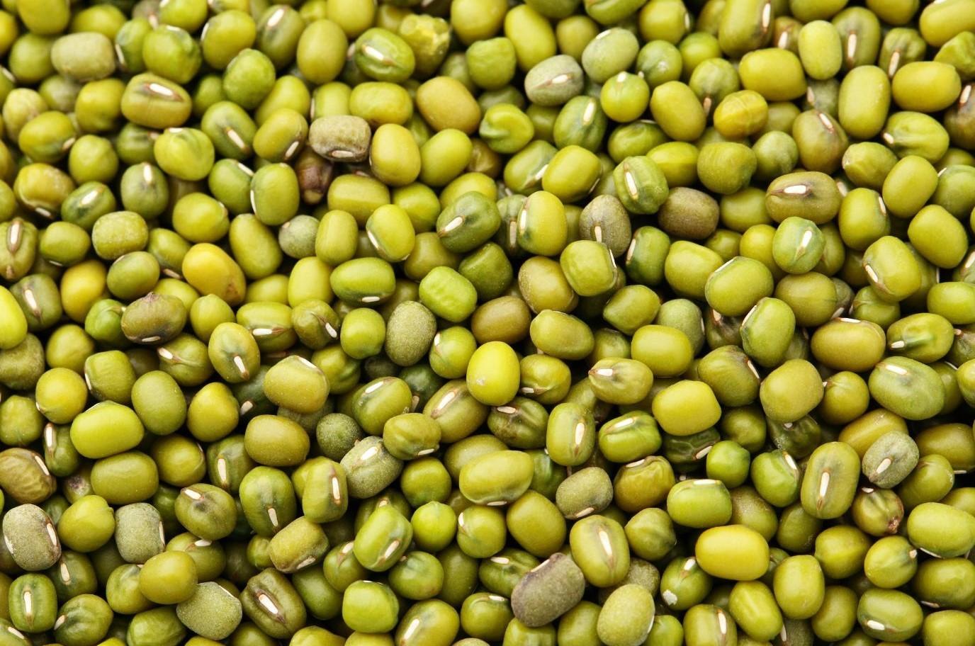 Moong Beans