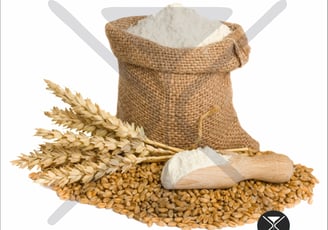 Wheat Flour